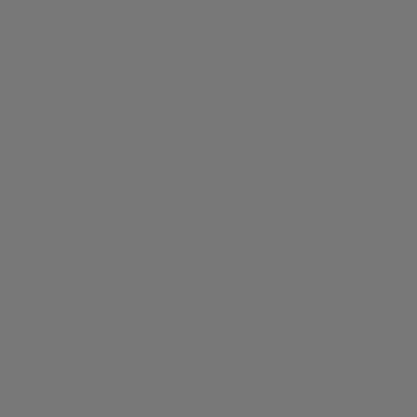 Surfaces Pure Grey Dark Satinado 320x160